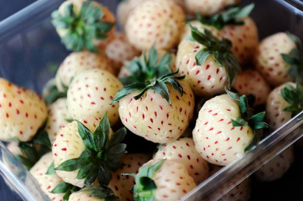 Strawberry + Pineapple = Pineberry