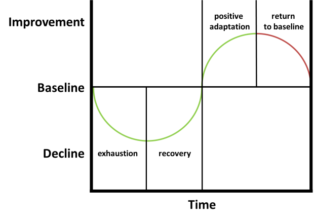 Recovery Is As Important As The Workout [part 1]